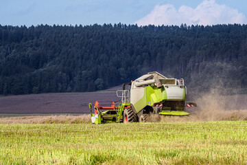 Harvested rapeseed field by a modern combine harvester