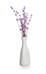 Vase with beautiful lavender flowers on white background