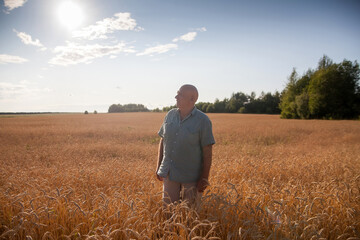 Elderly man farmer in golden field of wheat.