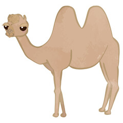 Camel Side View Full Body