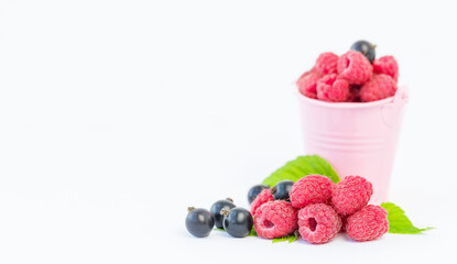 Berries background - raspberriers, currants and small bucket on gray surface
