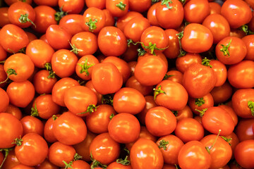 red tomatoes copy space