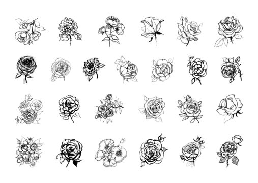 Collection of monochrome illustrations of roses in sketch style. Hand drawings in art ink style. Black and white graphics.