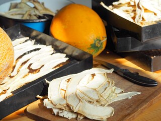 Dried melon wedges against a background of dark grates from a home dryer.