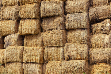 Warehouse of rectangular bales of hay. The uneven texture of a s