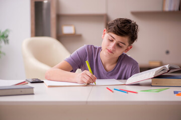 Schoolboy preparing for exams at home