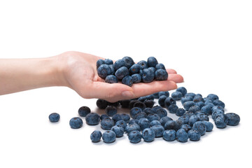 Bluepberry kept in hands isolated on white background.