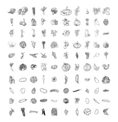 Collection of monochrome illustrations with vegetables in sketch style. Hand drawings in art ink style. Black and white graphics.