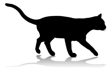 Silhouette Cat Pet Animal