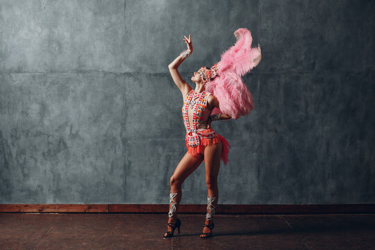 Woman In Samba Or Lambada Costume With Pink Feathers Plumage.