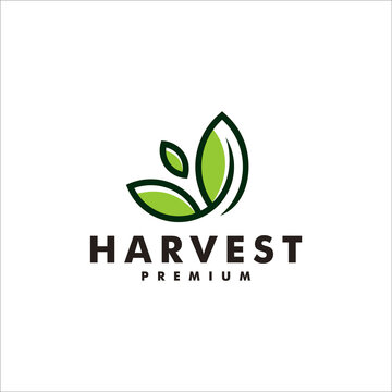 Harvest leaf logo design farm icon nature vector logotype