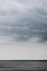 Seascape