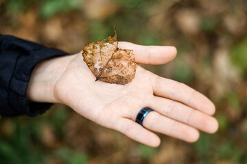 Dry leaf on a woman's palm. The onset of autumn concept.