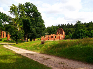 Ruine eines Zisterzienserklosters im Klostergarten