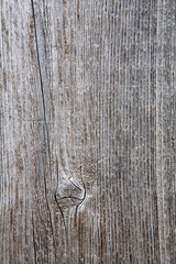 The beautiful texture of a dried old tree.