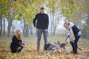 Naklejka na ściany i meble pet owners with siberian husky and beagle dogs have a nice time in the city park on an autumn morning