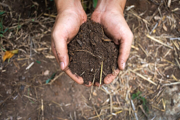 Man hand holding abundance soil for planting.