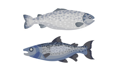Salmon fish set. Natural sea product vector illustration