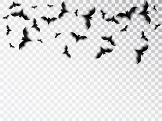 Bats swarm isolated vector for Halloween on transparent background. Halloween traditional design element.