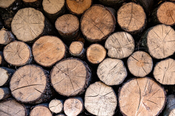 Stacked wood logs. Firewood pattern. Wooden background