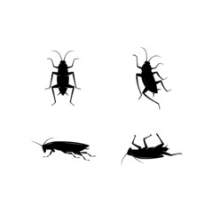 Cockroach logo. Isolated cockroach on white background