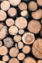 Stacked wood logs. Firewood pattern. Wooden background