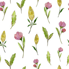 Watercolor seamless pattern with meadow flowers. Hand drawn illustration. Isolated on white background.