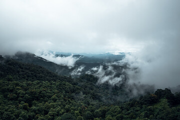 Obraz premium trees and mountains on rainy day