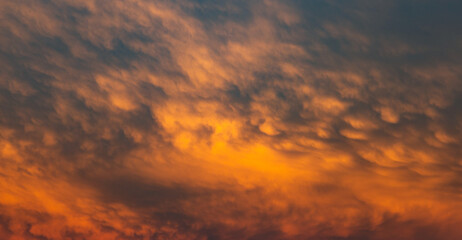 Naklejka na ściany i meble Sunset mammatus clouds after a storm. Serbia