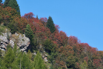 Fototapeta premium Herbst in den Dolomiten 