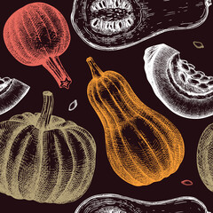 Seamless pattern with hand drawn Pumpkins. Thanksgiving design illustration. Autumn Harvest festival background with vector vegetables, pumpkin slice and seeds sketches. - obrazy, fototapety, plakaty