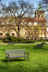 Fototapeta na wymiar empty wooden bench in a city park