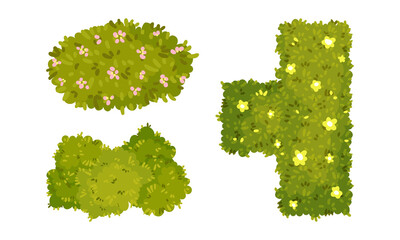 Top view of green hedges of different shapes set. Park and garden decorative elements, summer landscape design cartoon vector illustration