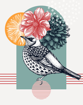 Hand-sketched  Fieldfare vector illustration. Perching bird with autumn flowers. Collage style illustration with florals, geometric shapes, and abstract elements. 