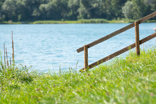 Seeufer / See / Natur