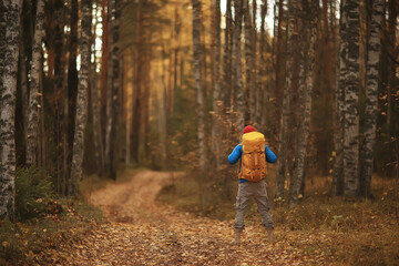 Fototapeta premium man with backpack a view from the back, hiking in the forest, autumn landscape, the back of tourist with a backpack