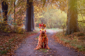 Herbstfee, ein kleines blondes Mädchen mit dem bunten Herbstkranz auf dem Kopf steht im bunten Herbstwald. Das Gesicht ist mit der Herbstmuster geschminkt.. In der Hand sind die Herbstblätter