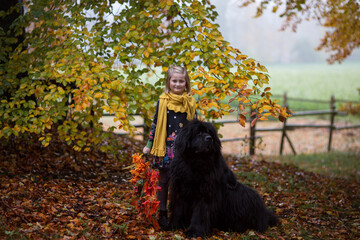 Blondes kleines Mädchen spielt mit ihrem schwarzen Neufundländer im Herbstwald. In der Hand hat sie den bunten Herbststrauß. Im Hintergrund ist feld, Holzzaun, Landschaft. 