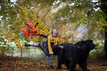 Blondes kleines Mädchen spielt mit ihrem schwarzen Neufundländer im Herbstwald. In der Hand hat sie den bunten Herbststrauß. Im Hintergrund ist feld, Holzzaun, Landschaft. Sie hebt ein Bein hoch.