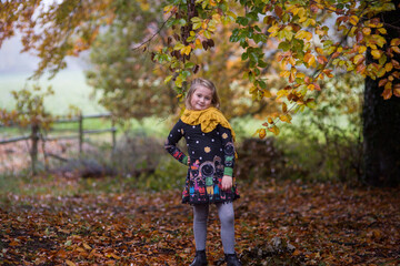 Wunderschöner Herbsttag. Das blonde Mädchen hält eine Hand an der Taille, sie schauet nach Vorne. Im Vordergrund ist der Baum und bunte Blätter.Im Hintergrund ist Feld, Holzzaun, Wald. 