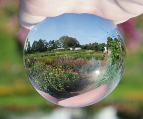 Garden in a glass ball
