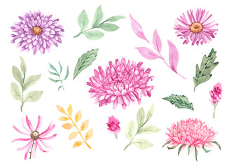 Set with  autumn flowers and twigs in watercolor 14