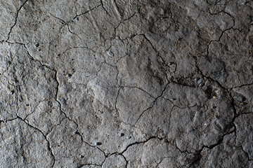 Dry cracked earth ground texture. No watering desert