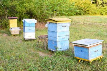 Several bee hives in an apiary in the village