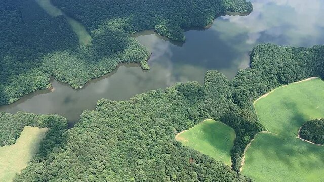 Aerial view of Crane Creek Reservoir and idyllic green landscape, Teer, North Carolina, USA