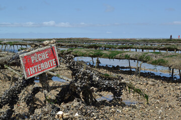 Pêche interdite dans zone ostréicole