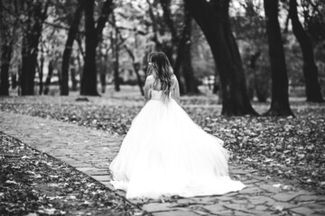 Beautiful bride posing in wedding dress outdoors