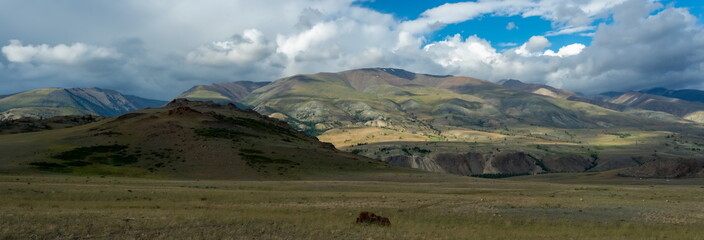 Altay mountains and Kuray steppe