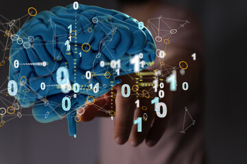 3d rendering of human brain on technology background