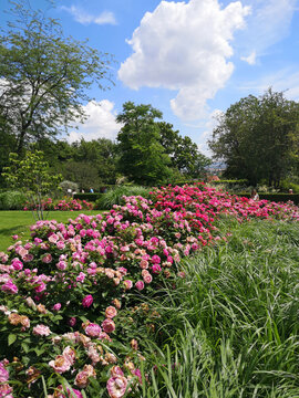 Bundesgartenschau &ndash; Buga Erfurt 2021